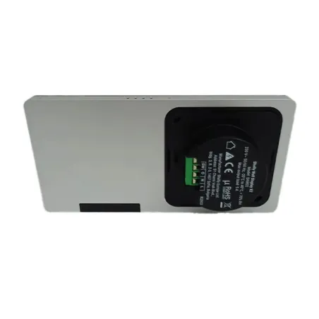 Shelly Wall Display X2 WiFi/BLU (White)